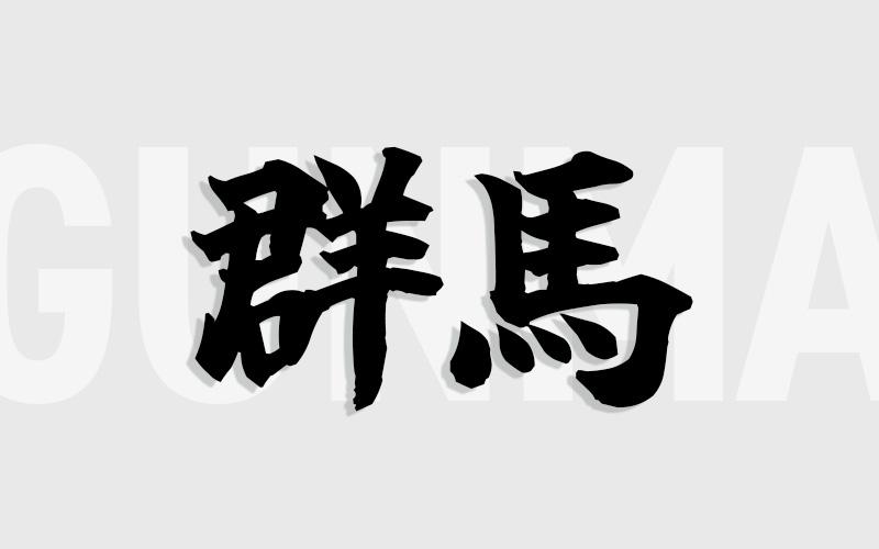 群馬エリアの特色（風俗・メンズエステ業界）